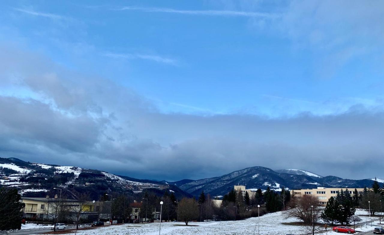 Bl - The Executive Suite, Boru - 24Hr Self Check-In, Free Private Parking, Balcony With Mountain View, 5 Minute Walk To City Center Banská Bystrica Exteriér fotografie