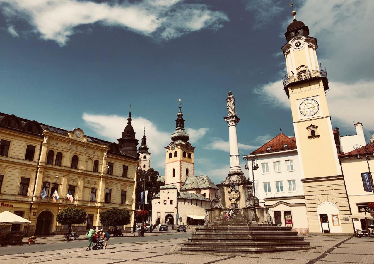 Bl - The Executive Suite, Boru - 24Hr Self Check-In, Free Private Parking, Balcony With Mountain View, 5 Minute Walk To City Center Banská Bystrica Exteriér fotografie