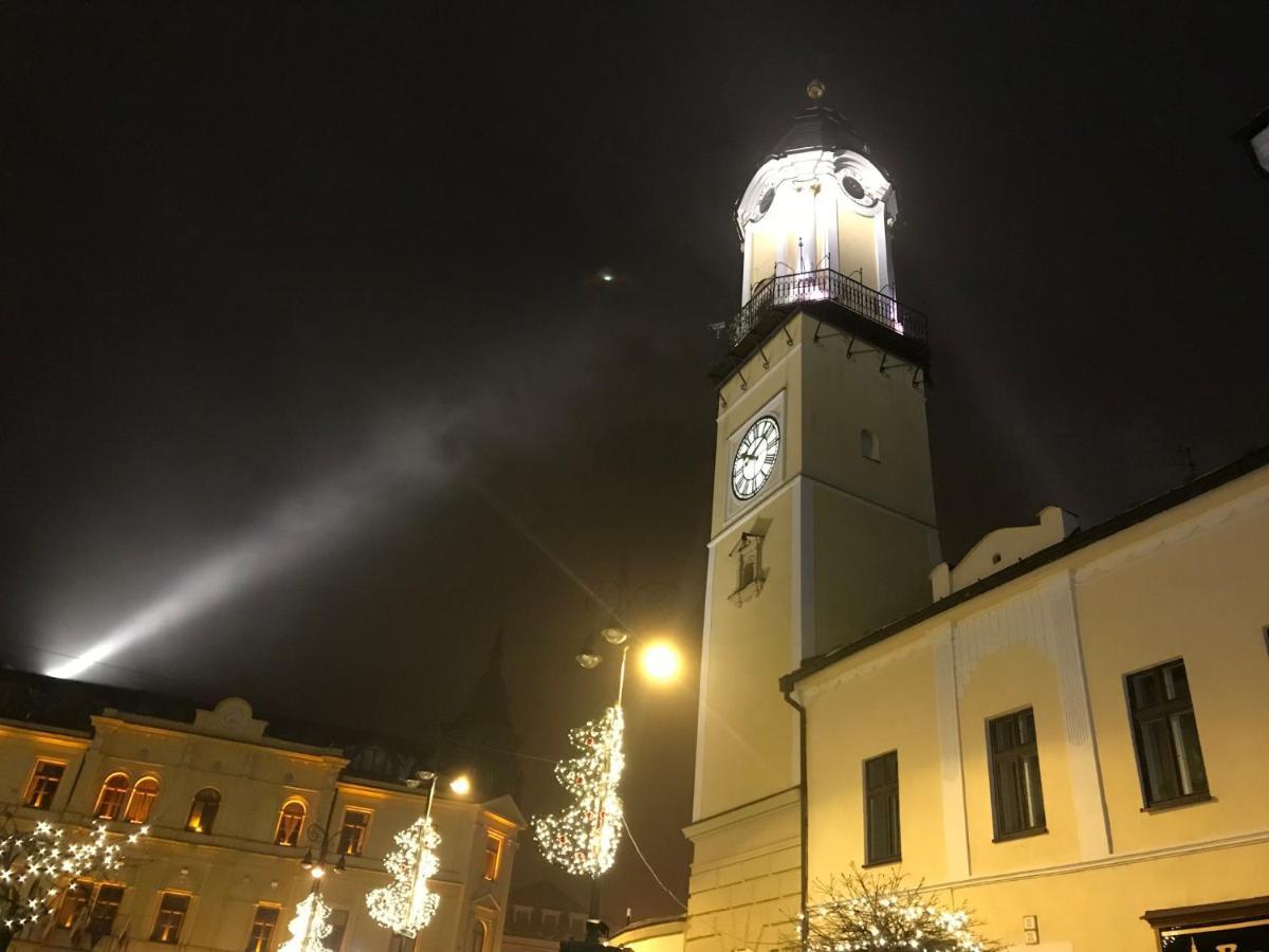 Bl - The Executive Suite, Boru - 24Hr Self Check-In, Free Private Parking, Balcony With Mountain View, 5 Minute Walk To City Center Banská Bystrica Exteriér fotografie