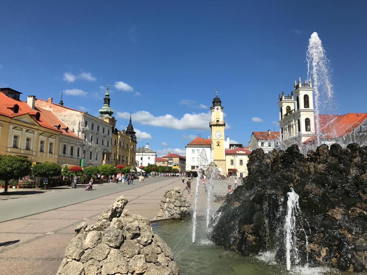 Bl - The Executive Suite, Boru - 24Hr Self Check-In, Free Private Parking, Balcony With Mountain View, 5 Minute Walk To City Center Banská Bystrica Exteriér fotografie