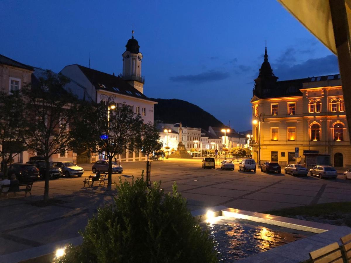 Bl - The Executive Suite, Boru - 24Hr Self Check-In, Free Private Parking, Balcony With Mountain View, 5 Minute Walk To City Center Banská Bystrica Exteriér fotografie