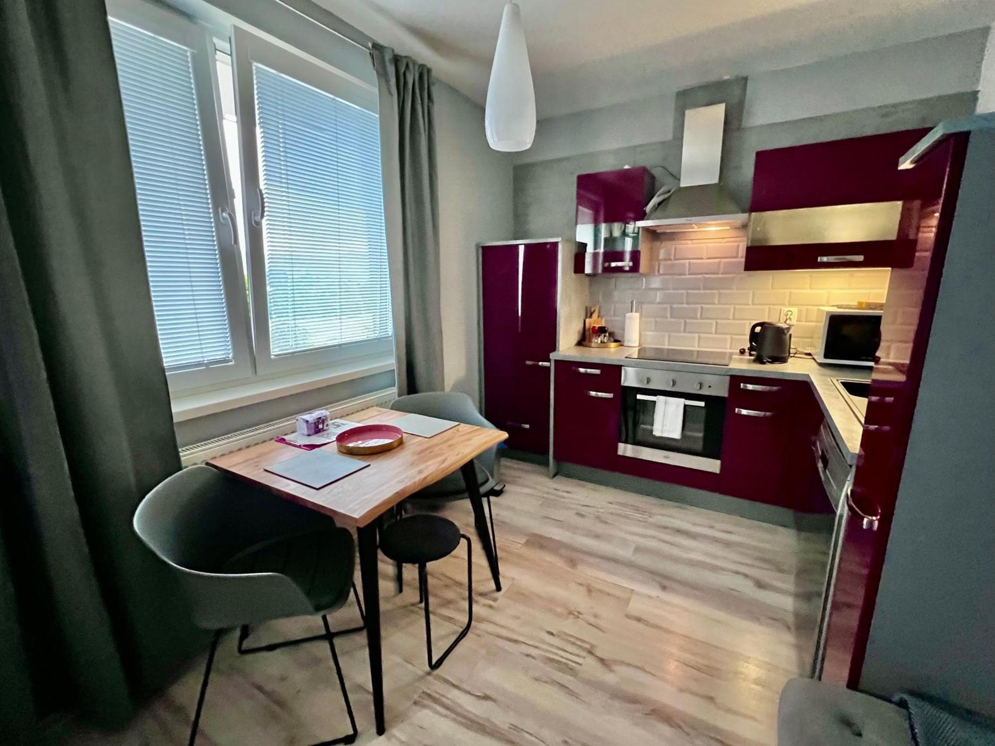 Bl - The Executive Suite, Boru - 24Hr Self Check-In, Free Private Parking, Balcony With Mountain View, 5 Minute Walk To City Center Banská Bystrica Exteriér fotografie
